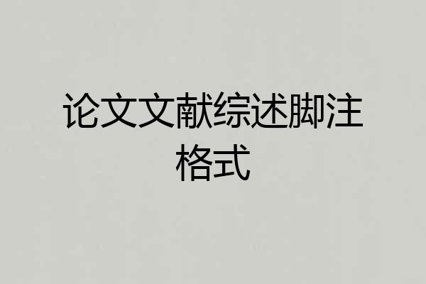 论文文献综述脚注格式
