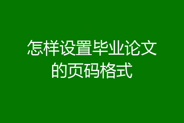 怎样设置毕业论文的页码格式