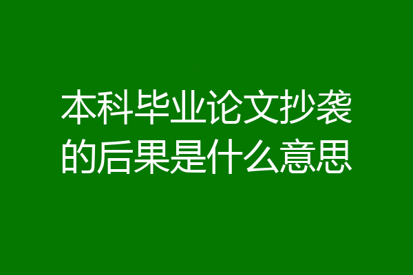 本科毕业论文抄袭的后果是什么意思
