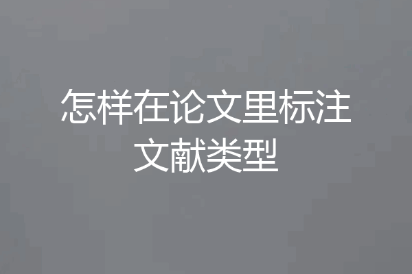 怎样在论文里标注文献类型