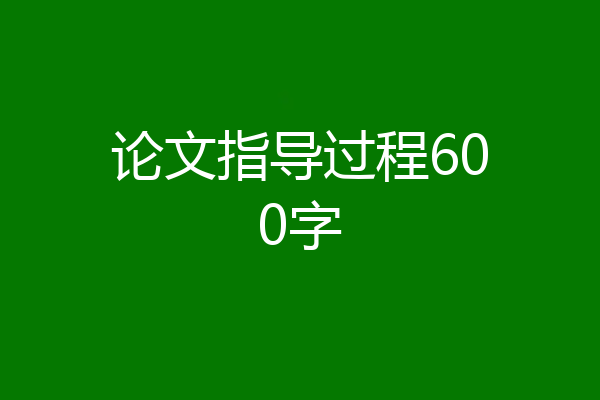 论文指导过程600字
