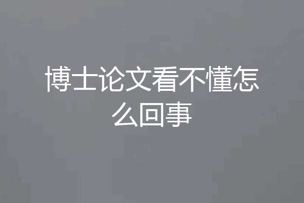 博士论文看不懂怎么回事