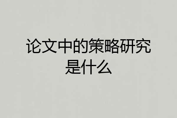 论文中的策略研究是什么