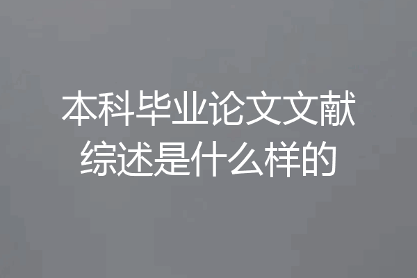 本科毕业论文文献综述是什么样的