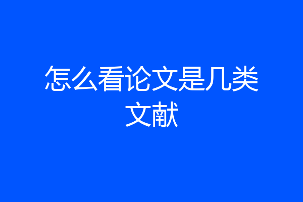 怎么看论文是几类文献