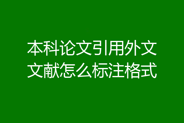 本科论文引用外文文献怎么标注格式