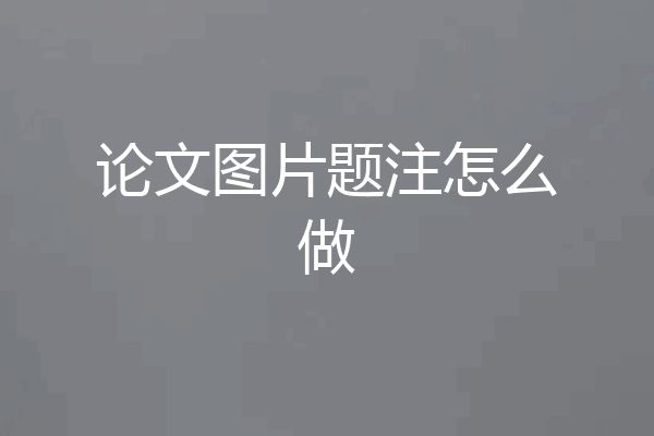 论文图片题注怎么做