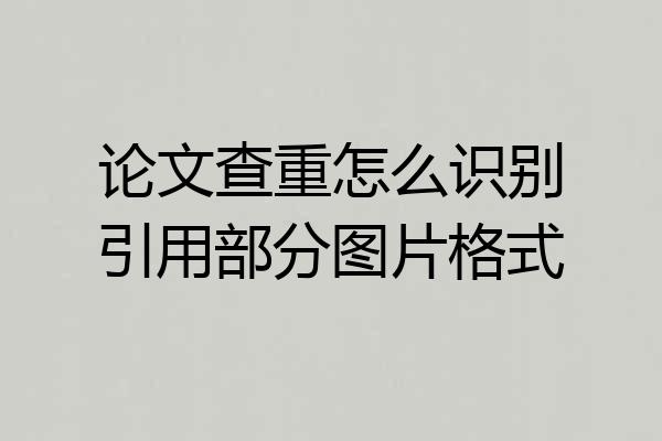 论文查重怎么识别引用部分图片格式