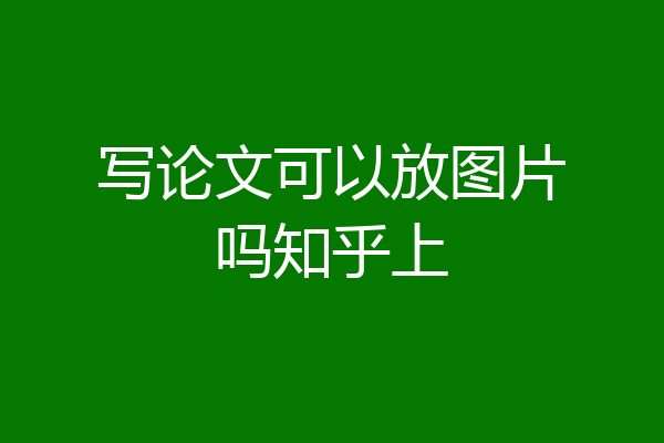写论文可以放图片吗知乎上