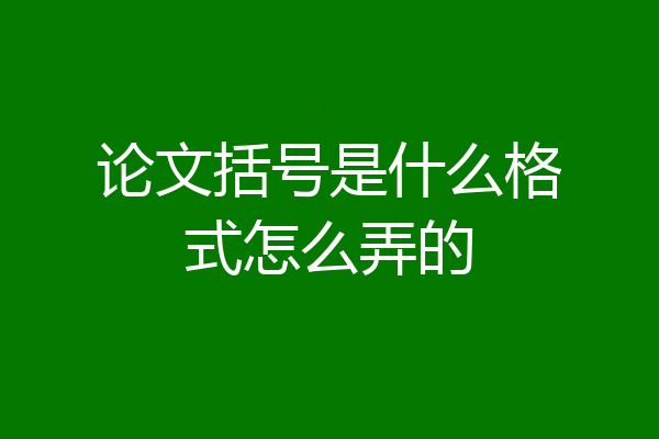 论文括号是什么格式怎么弄的