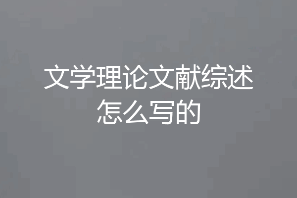 文学理论文献综述怎么写的