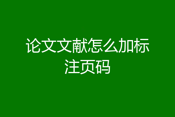 论文文献怎么加标注页码