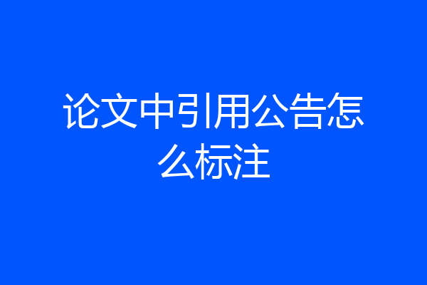 论文中引用公告怎么标注