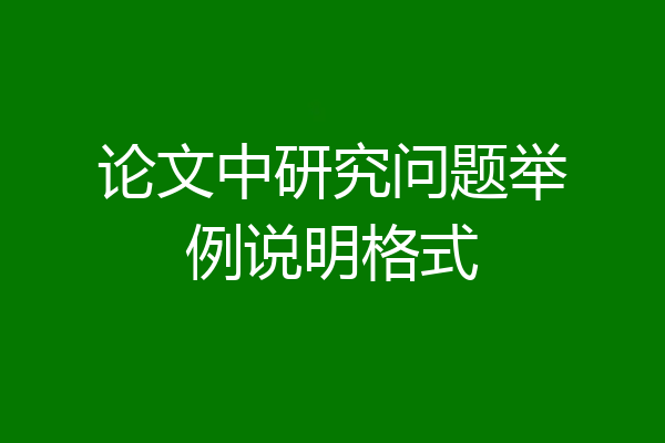 论文中研究问题举例说明格式