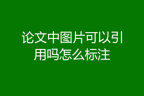 论文中图片可以引用吗怎么标注