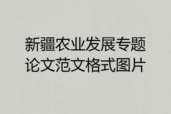 新疆农业发展专题论文范文格式图片