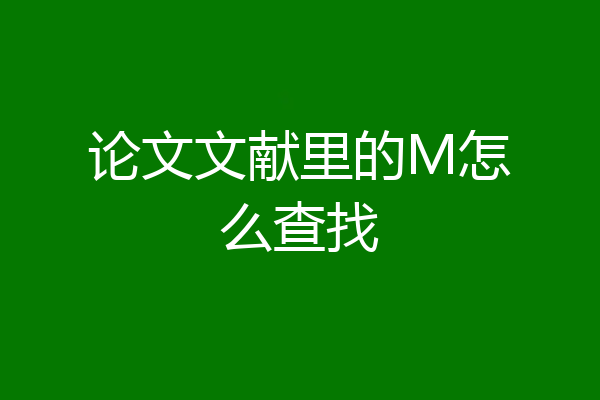 论文文献里的M怎么查找
