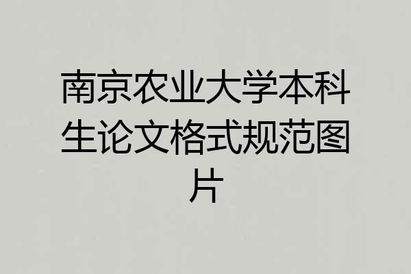 南京农业大学本科生论文格式规范图片