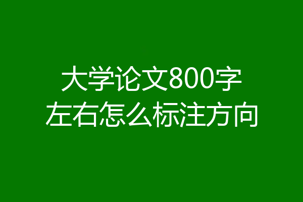 大学论文800字左右怎么标注方向