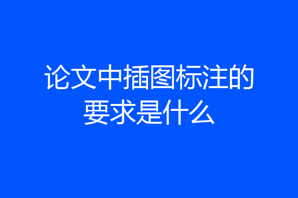 论文中插图标注的要求是什么