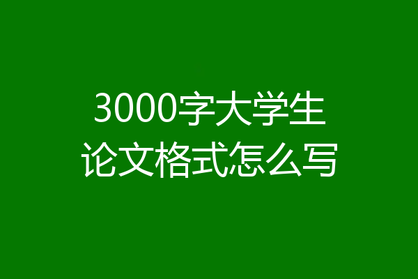 3000字大学生论文格式怎么写