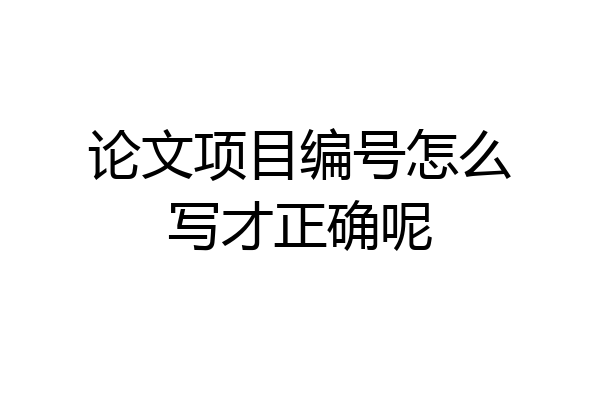 论文项目编号怎么写才正确呢