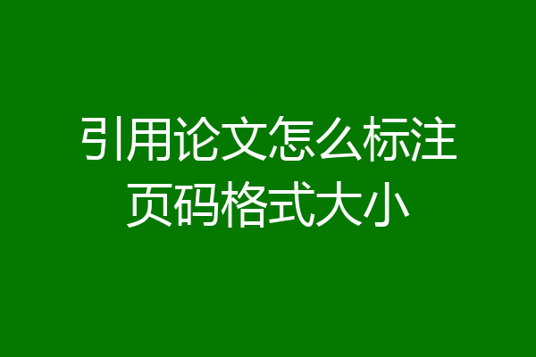 引用论文怎么标注页码格式大小