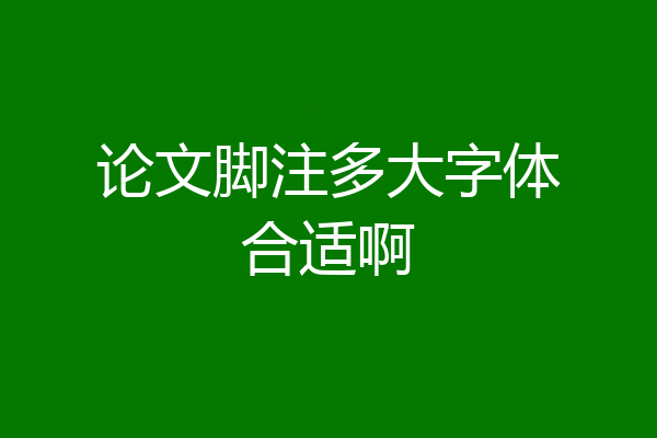 论文脚注多大字体合适啊