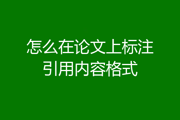 怎么在论文上标注引用内容格式