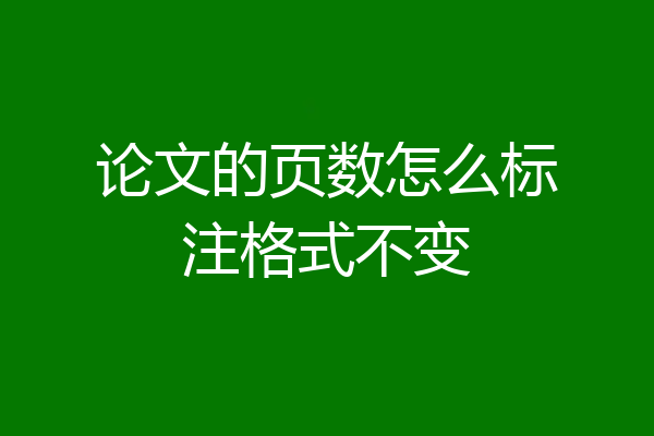 论文的页数怎么标注格式不变