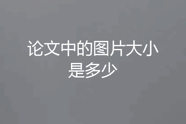 论文中的图片大小是多少