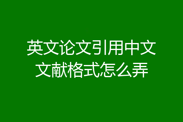 英文论文引用中文文献格式怎么弄