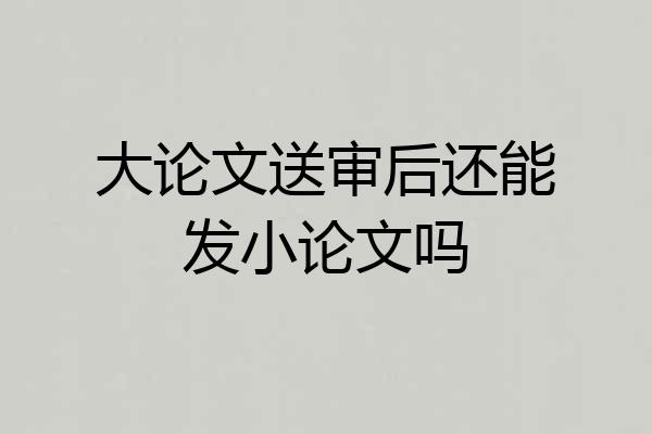 大论文送审后还能发小论文吗