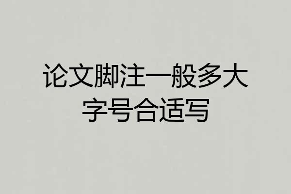 论文脚注一般多大字号合适写