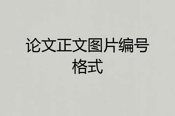 论文正文图片编号格式