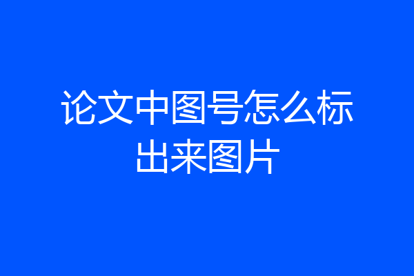 论文中图号怎么标出来图片