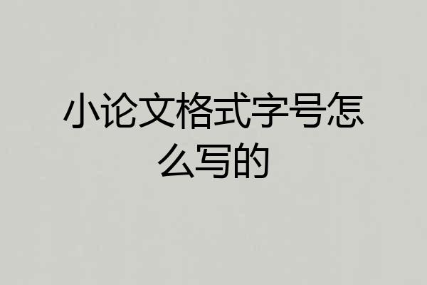小论文格式字号怎么写的