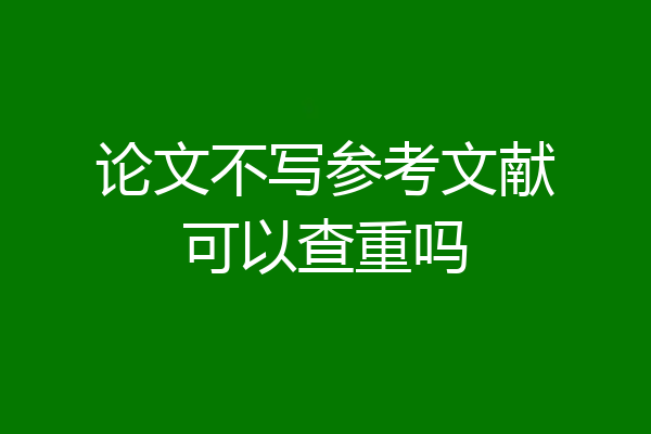 论文不写参考文献可以查重吗