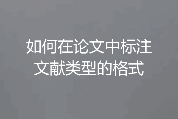 如何在论文中标注文献类型的格式