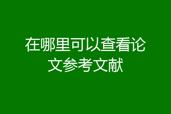 在哪里可以查看论文参考文献
