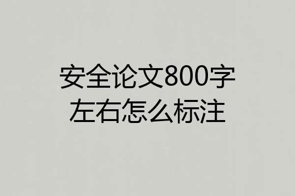 安全论文800字左右怎么标注