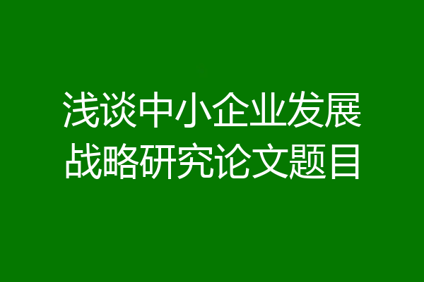 浅谈中小企业发展战略研究论文题目