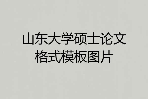 山东大学硕士论文格式模板图片
