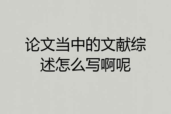 论文当中的文献综述怎么写啊呢