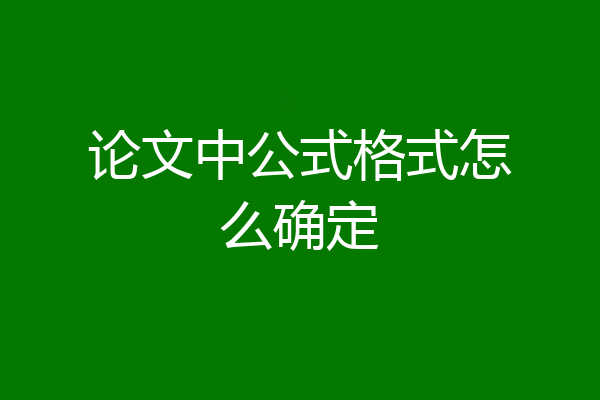论文中公式格式怎么确定