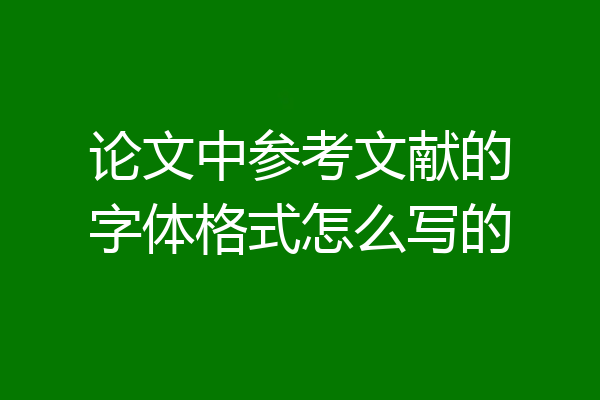 论文中参考文献的字体格式怎么写的