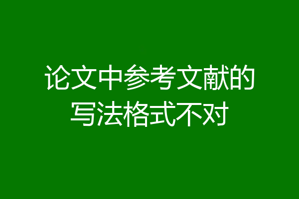论文中参考文献的写法格式不对
