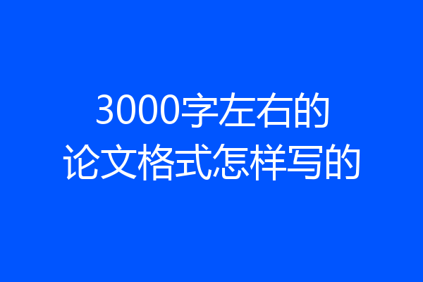 3000字左右的论文格式怎样写的