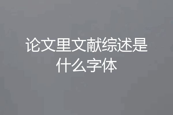 论文里文献综述是什么字体