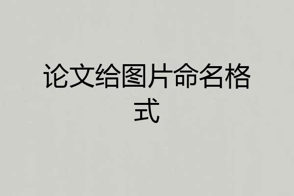 论文给图片命名格式